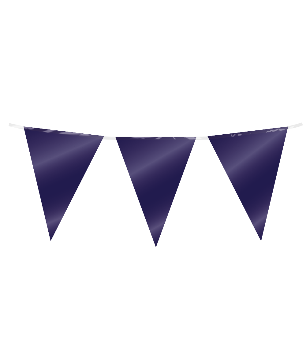 Navy Party Flag Banner