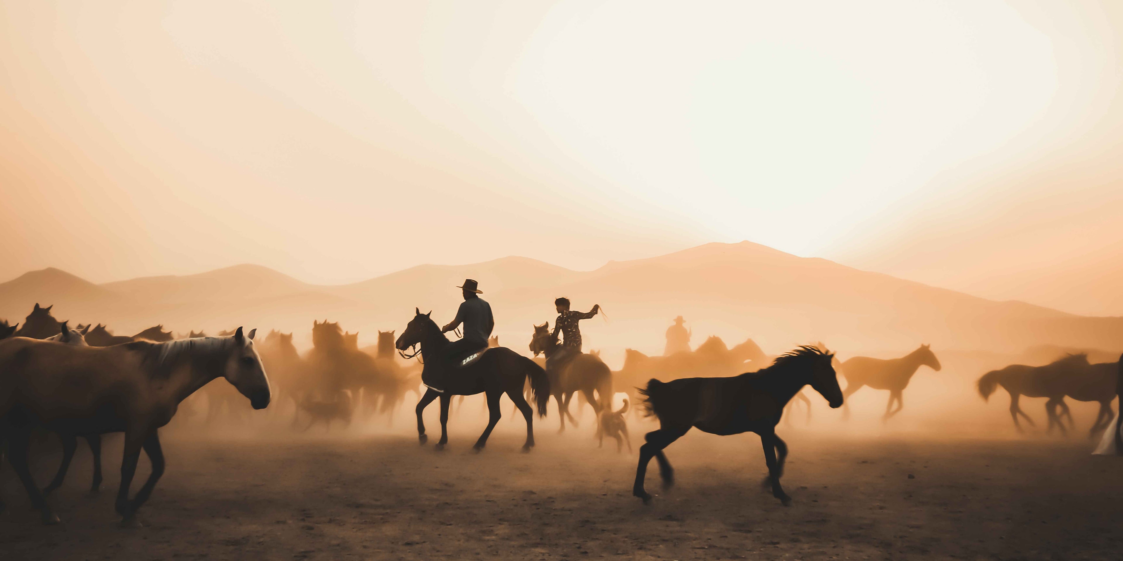 How to Throw a Western-Themed Party That Feels More Yellowstone, Less Hoedown