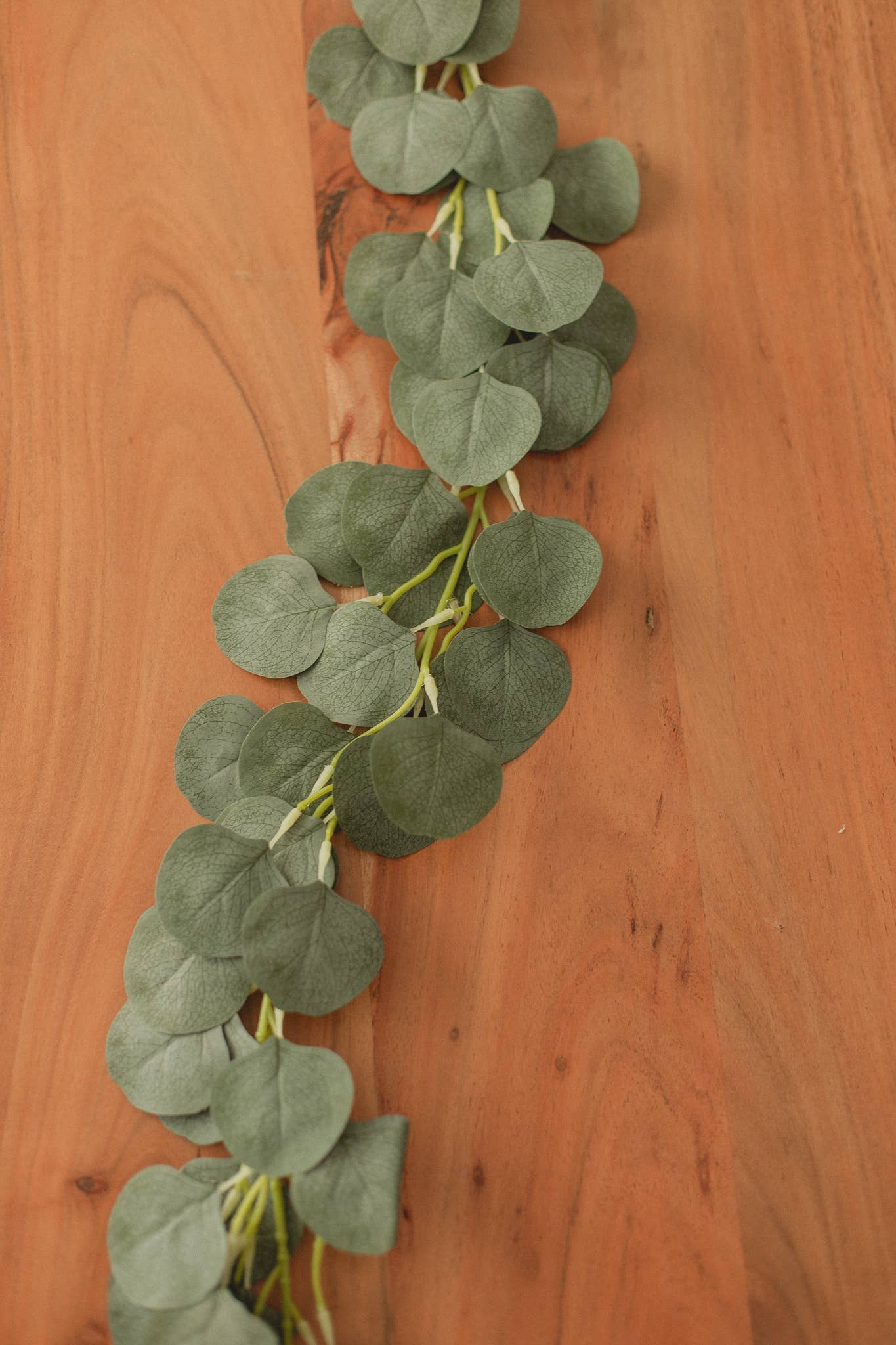 Eucalyptus Garland