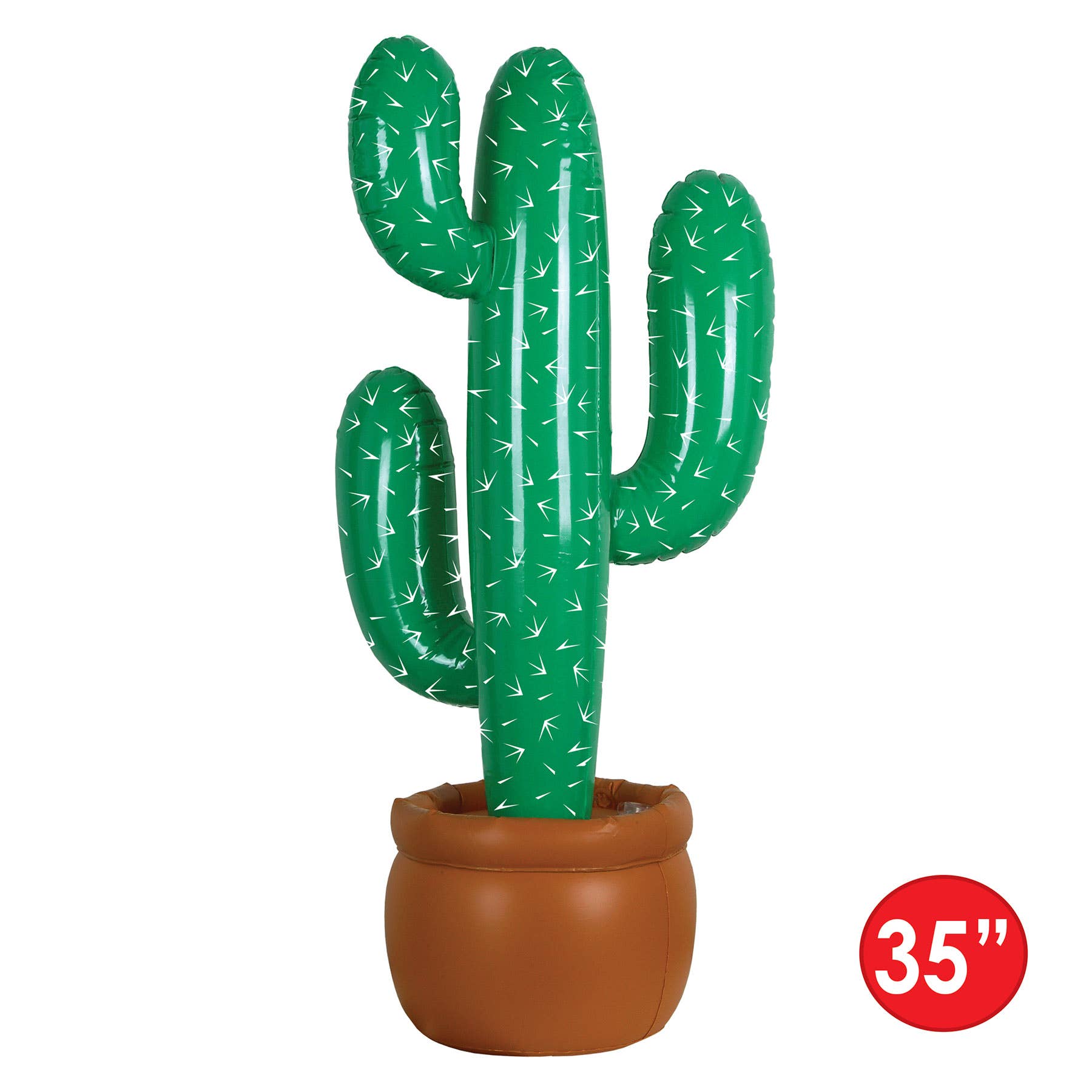 Inflatable Cactus