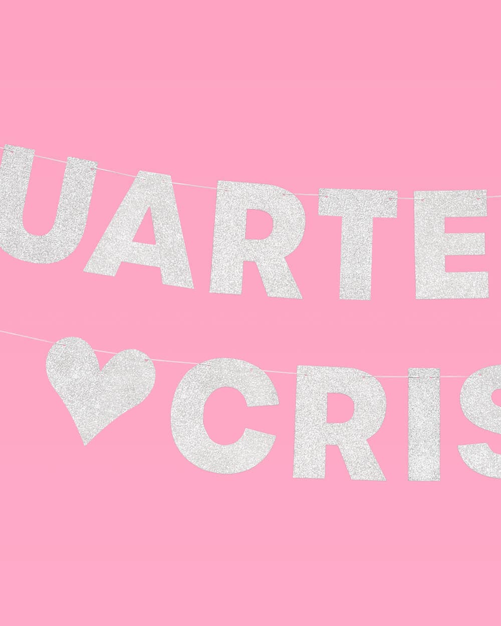 Quarter Life Crisis Party Banner