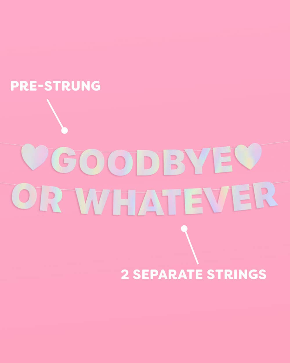 Goodbye or Whatever Banner