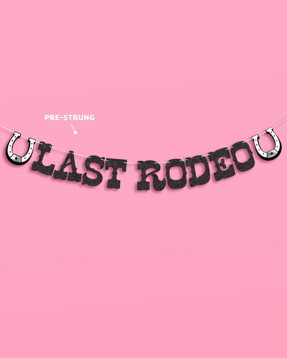 Last Rodeo Banner