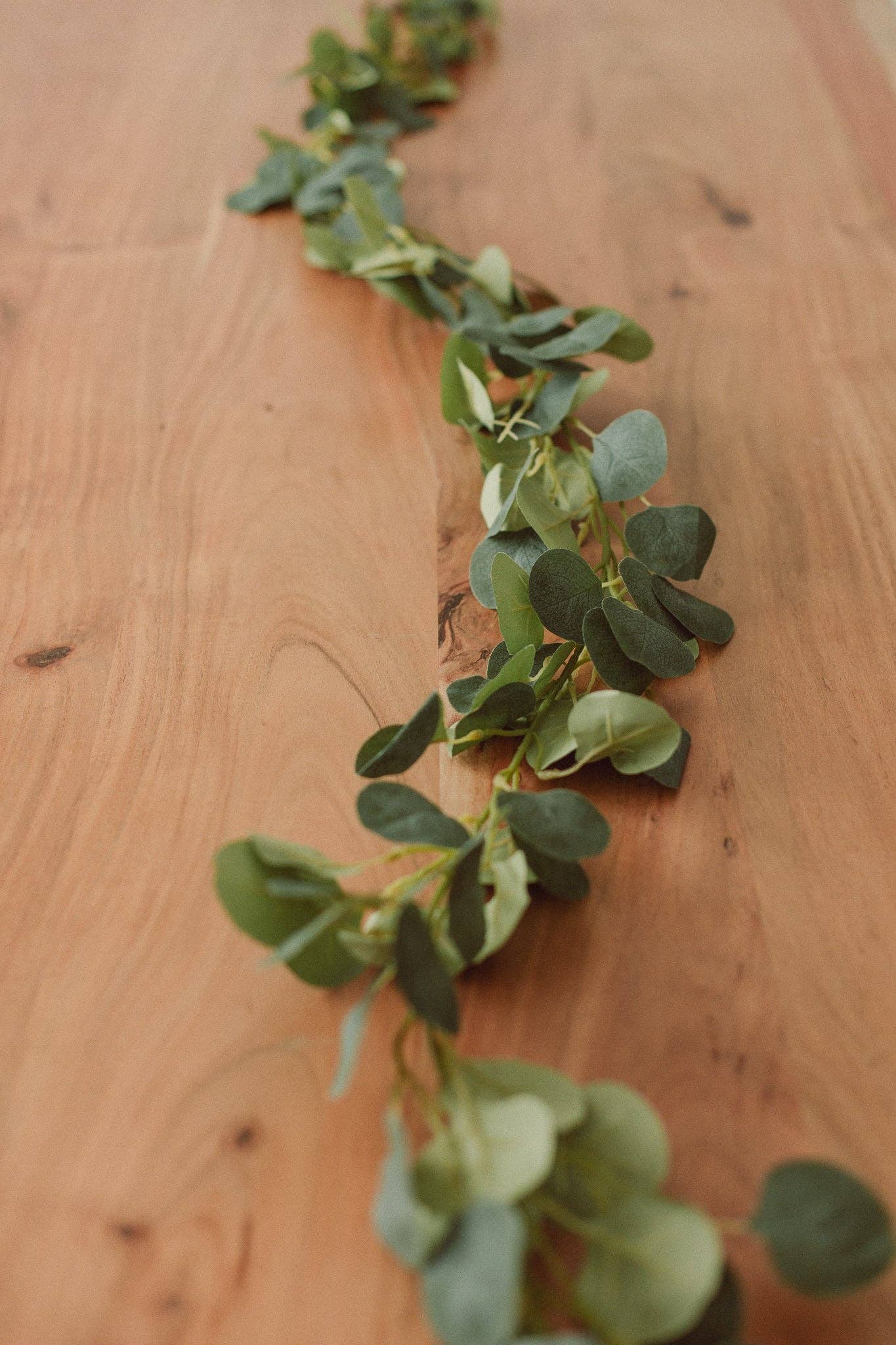 Eucalyptus Garland