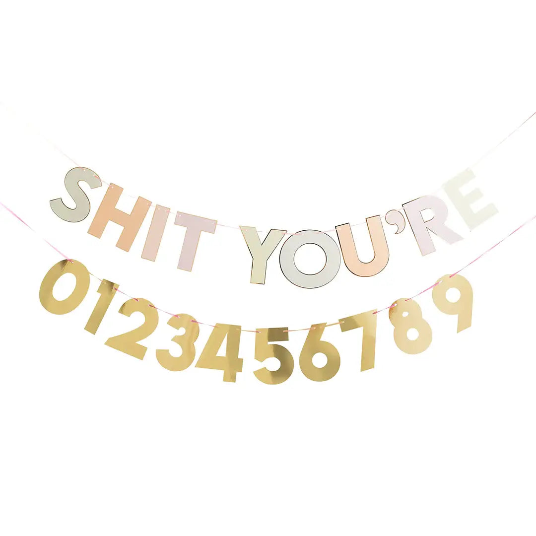 'Shit You're Old' Customizable Banner